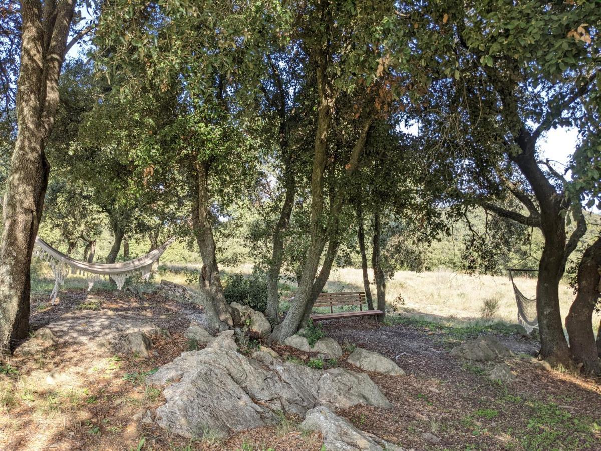מלון Montnegre Mas Oms מראה חיצוני תמונה